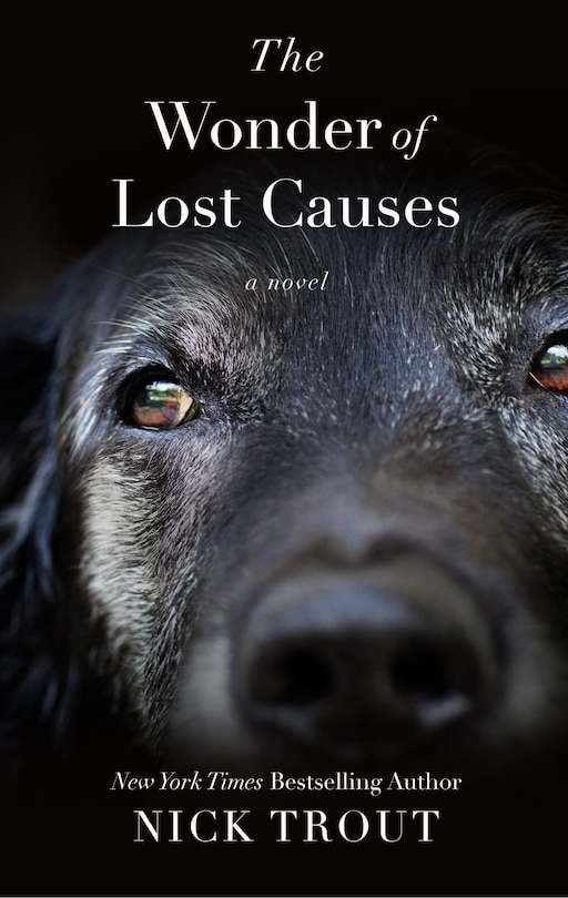 Couverture_The Wonder Of Lost Causes