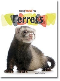 Front cover_Ferrets