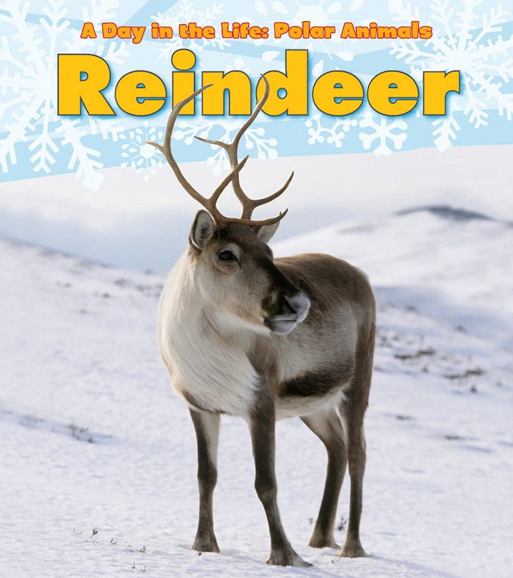 Front cover_Reindeer