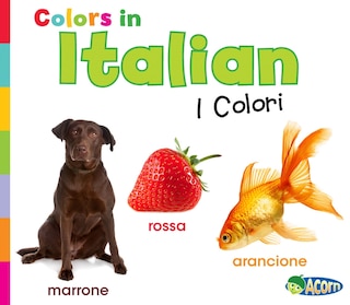 Colors In Italian: I Colori