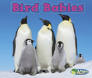 Front cover_Bird Babies