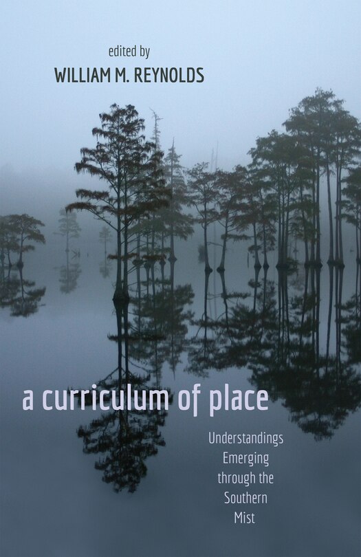 a curriculum of place: Understandings Emerging through the Southern Mist