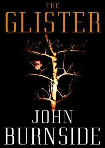 Front cover_The Glister