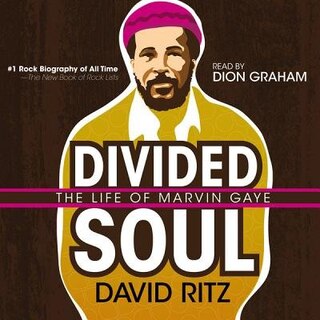 Front cover_Divided Soul