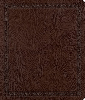Front cover_ESV Journaling Bible (Mocha, Threshold Design)