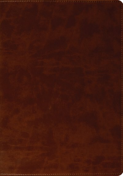 ESV Large Print Bible (TruTone, Brown)