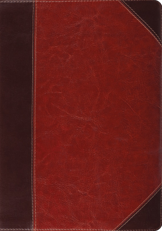 Esv Study Bible (trutone, Brown/cordovan, Portfolio Design)