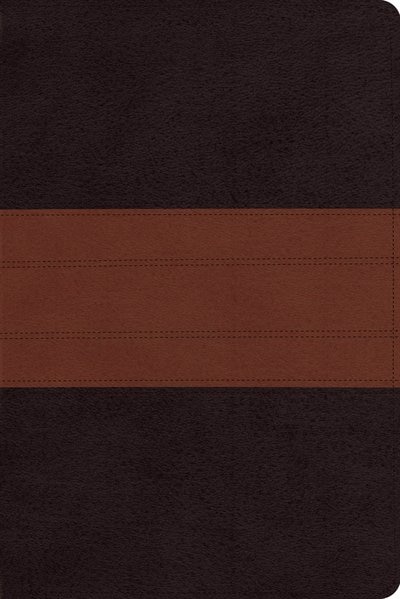 Esv Study Bible, Personal Size (trutone, Deep Brown/tan, Trail Design)