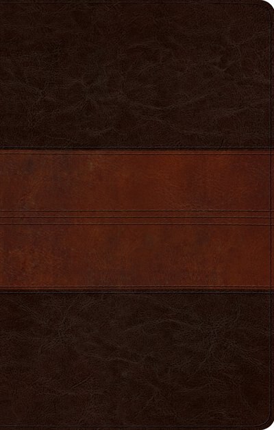 Esv Ultrathin Bible (trutone, Deep Brown/tan, Trail Design)