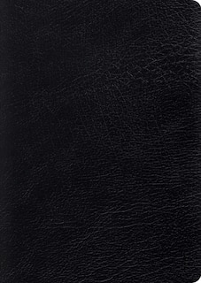 Front cover_Esv Study Bible, Large Print (black)