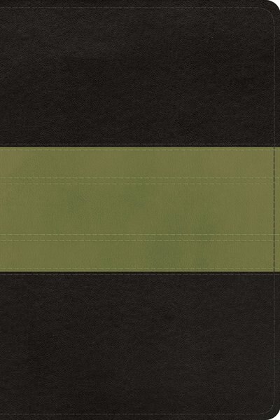 Couverture_Esv Study Bible, Personal Size (trutone, Charcoal/sage, Trail Design)