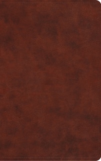 Front cover_Esv Large Print Value Thinline Bible (trutone, Chestnut)