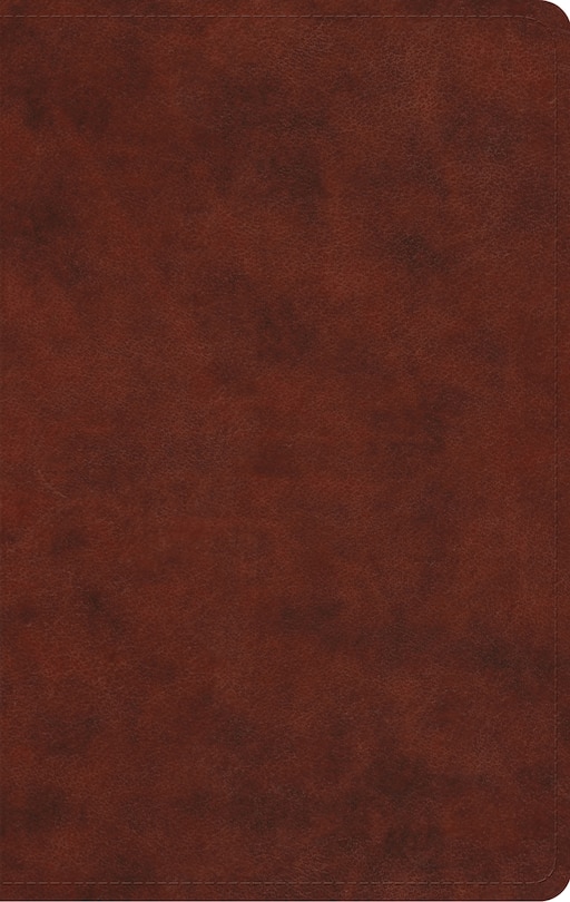 Front cover_Esv Large Print Value Thinline Bible (trutone, Chestnut)