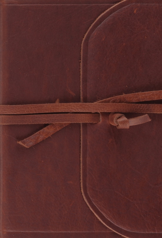 Front cover_Esv Large Print Compact Bible (brown, Flap With Strap)