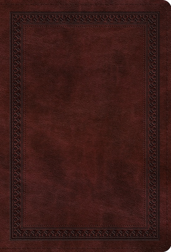 Front cover_Esv Value Compact Bible (trutone, Mahogany, Border Design)