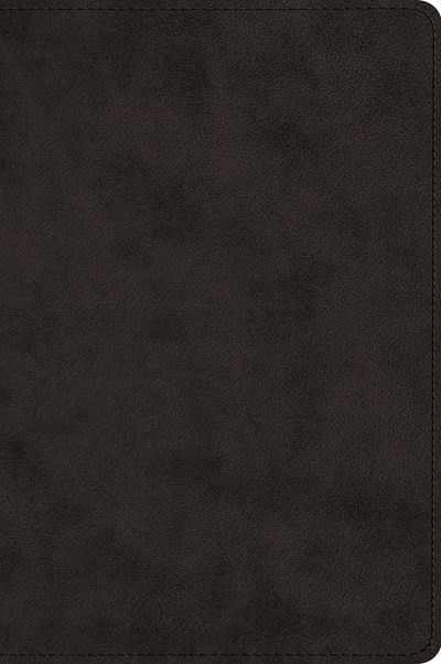 Couverture_Esv Large Print Bible (trutone, Black)