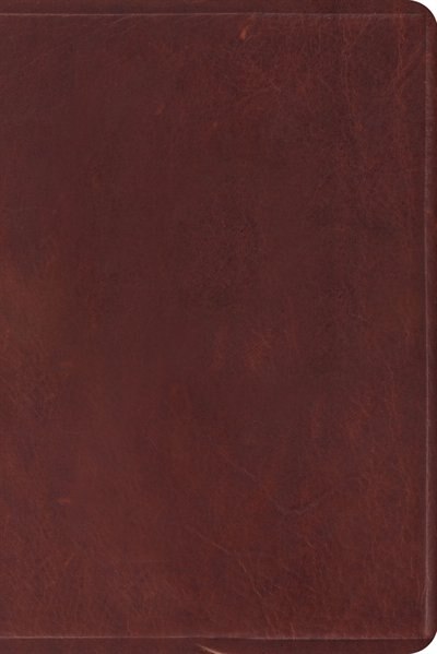 Front cover_Esv Study Bible, Personal Size