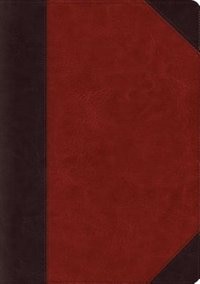 Front cover_Esv Systematic Theology Study Bible (trutone, Brown/cordovan, Portfolio Design)