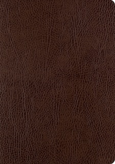 Esv Single Column Journaling Bible, Large Print (mocha)