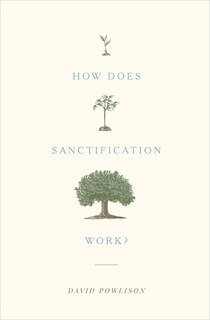 Front cover_How Does Sanctification Work?