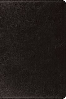 Front cover_Esv Large Print Bible (black)