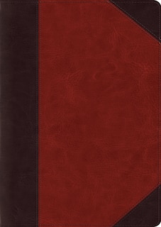 Front cover_Esv Study Bible, Large Print (trutone, Brown/cordovan, Portfolio Design)