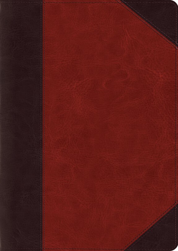 Front cover_Esv Study Bible, Large Print (trutone, Brown/cordovan, Portfolio Design)
