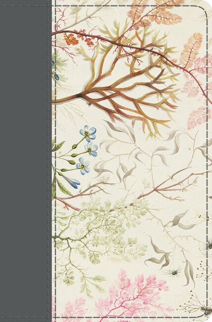 Front cover_Esv Compact Bible (printed Trutone, Elegant Grace)