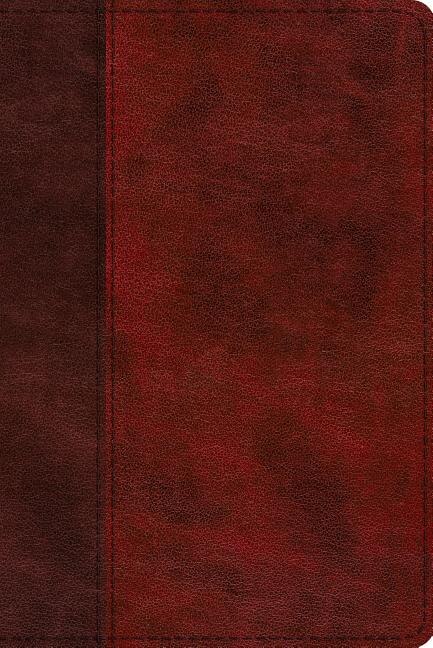 Front cover_Esv Study Bible, Personal Size (trutone, Burgundy/red, Timeless Design)