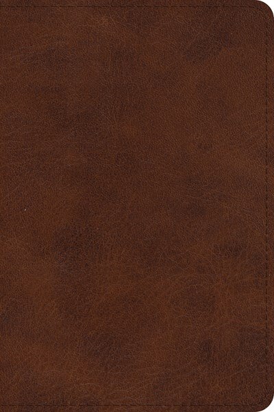 Couverture_Esv Large Print Bible (trutone, Deep Brown)