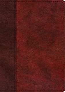 Front cover_Esv Single Column Journaling Bible, Large Print (trutone, Burgundy/red, Timeless Design)