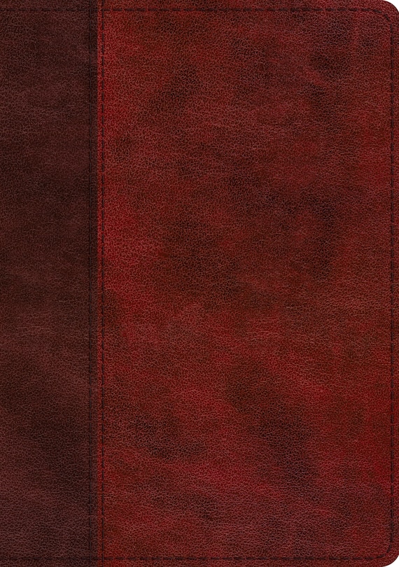 Front cover_Esv Single Column Journaling Bible, Large Print (trutone, Burgundy/red, Timeless Design)
