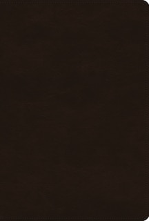 Front cover_Esv Women's Study Bible (trutone, Deep Brown)