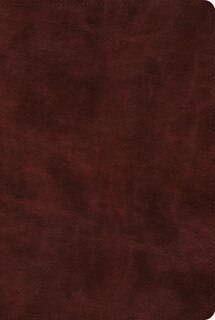 ESV Bible with Creeds and Confessions (TruTone, Burgundy)