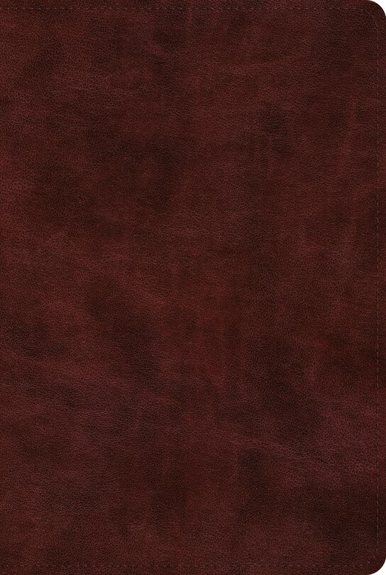 ESV Bible with Creeds and Confessions (TruTone, Burgundy)