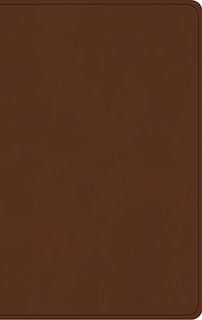 Front cover_Esv Large Print Value Thinline Bible (trutone, Camel)