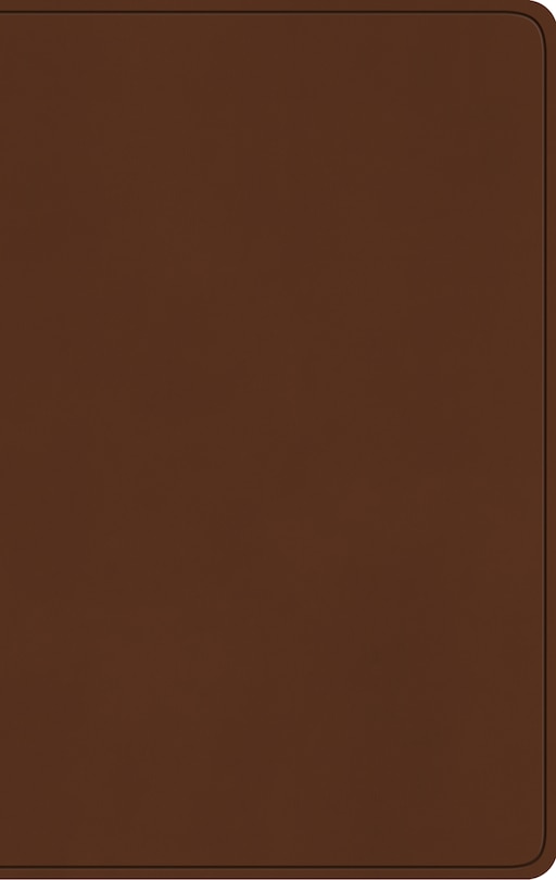 Front cover_Esv Large Print Value Thinline Bible (trutone, Camel)