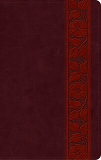 Front cover_ESV Large Print Personal Size Bible (TruTone, Mahogany, Trellis Design)