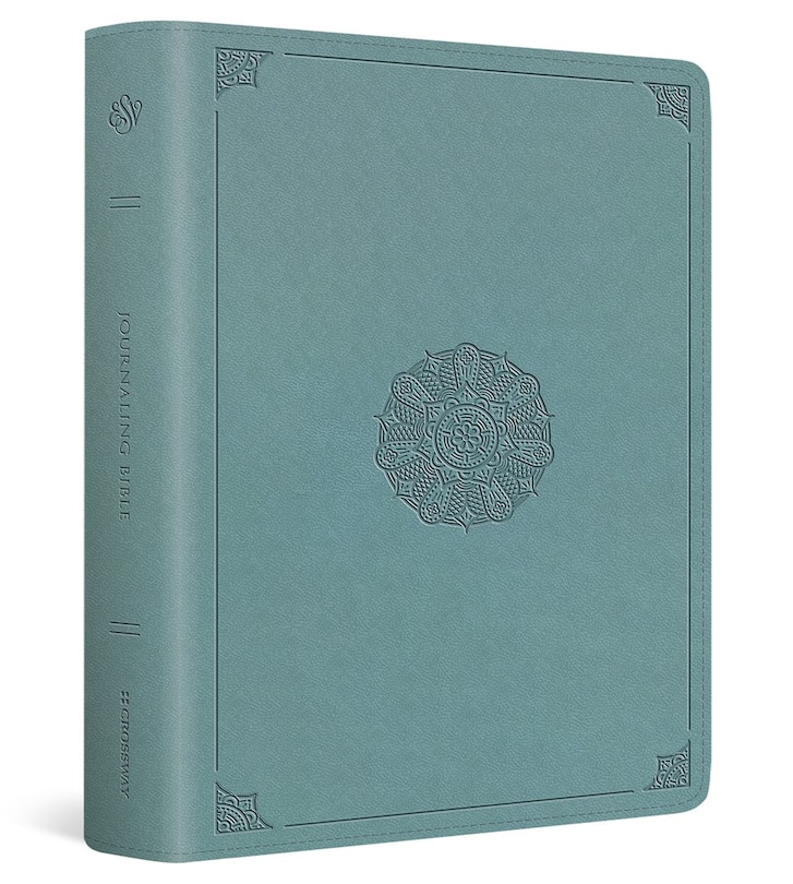 Couverture_ESV Journaling Bible (Trutone, Paris Sky, Emblem Design)