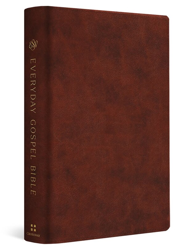 Couverture_ESV Everyday Gospel Bible