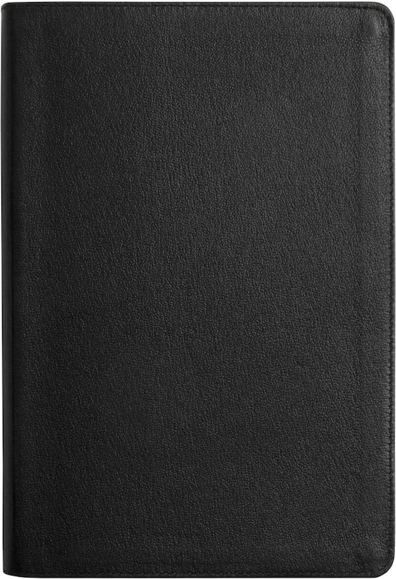 Front cover_ESV Everyday Gospel Bible