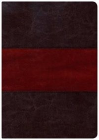 KJV STUDY BIBLE LARGE PRINT EDITION, SADDLE BROWN LEATHERTOUCH