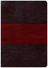 Couverture_KJV STUDY BIBLE LARGE PRINT EDITION, SADDLE BROWN LEATHERTOUCH INDEXED