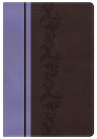 KJV RAINBOW STUDY BIBLE, BROWN/LAVENDER LEATHERTOUCH, INDEXED