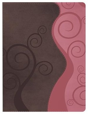 Front cover_APOLOGETICS STUDY BIBLE FOR STUDENTS, PINK/BROWN LEATHERTOUCH, INDEXED