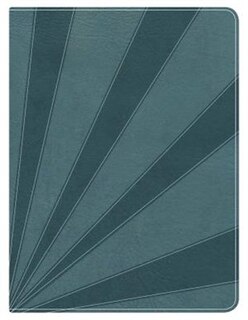 APOLOGETICS STUDY BIBLE FOR STUDENTS, STEEL BLUE LEATHERTOUCH, INDEXED
