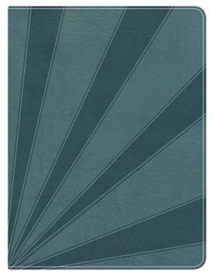 APOLOGETICS STUDY BIBLE FOR STUDENTS, STEEL BLUE LEATHERTOUCH, INDEXED