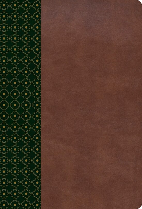 Couverture_Rvr 1960 Biblia De Estudio Scofield, Verde Oscuro/castaño Símil Piel