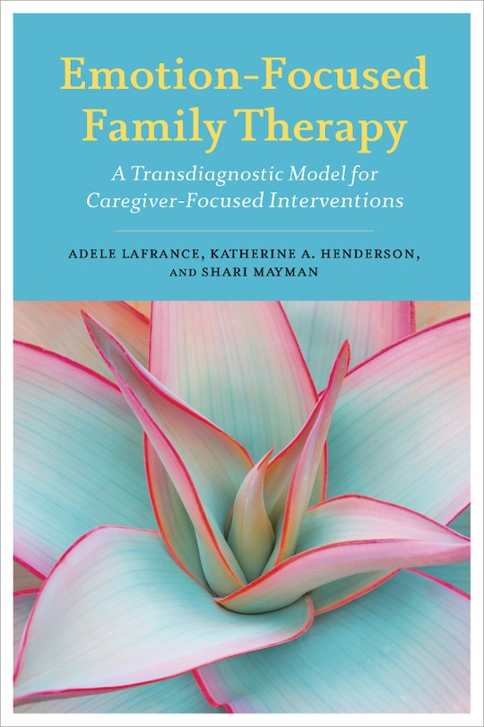 solution focused family therapy case study