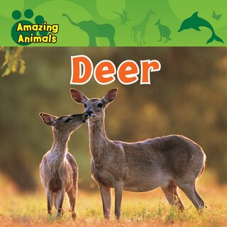 Front cover_Deer
